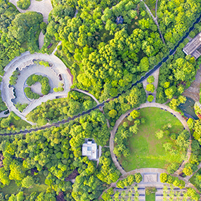 綠(lǜ)化工(gōng)程