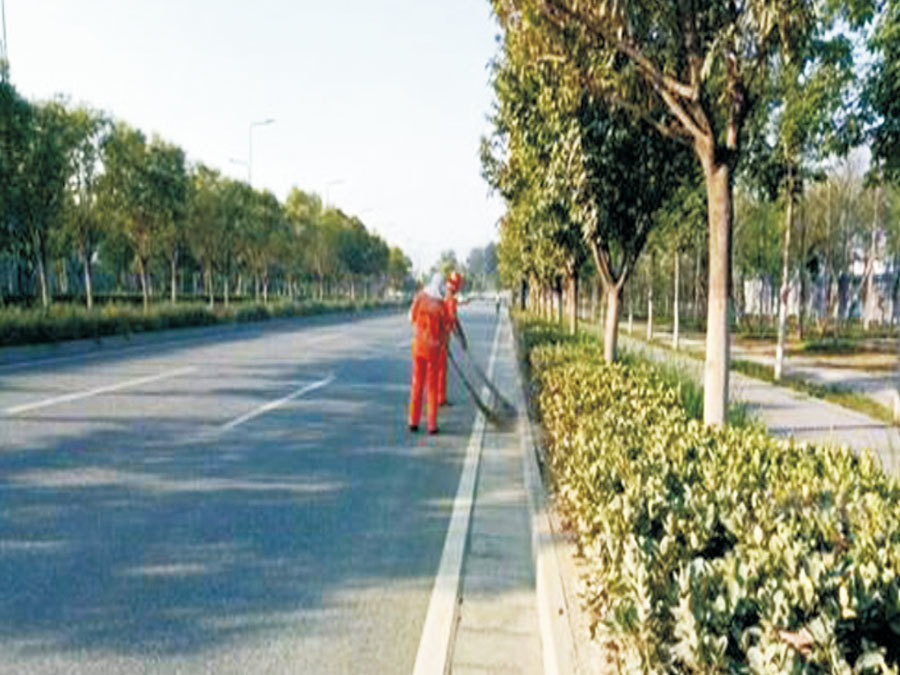 市政道路(lù)綠(lǜ)化項目