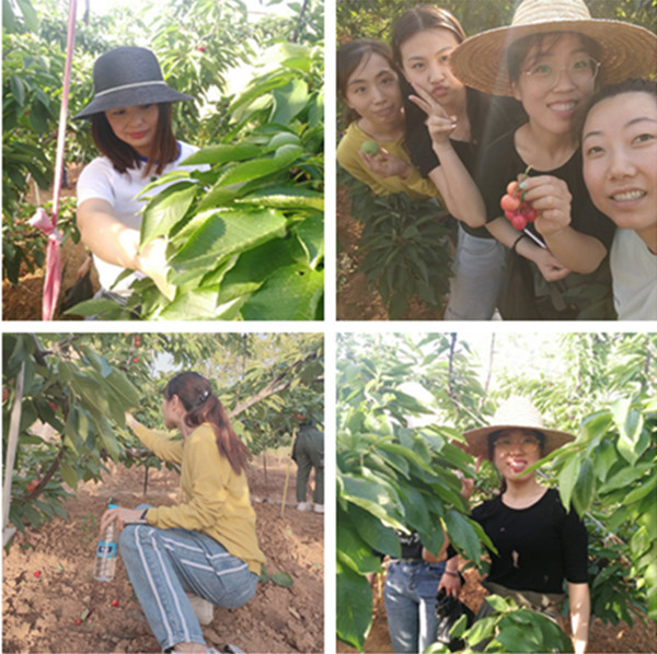 正光(guāng)建設